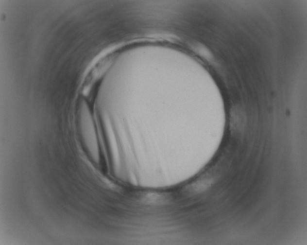 X0000081341412200702020038