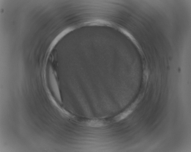 X0000081341418200702020038