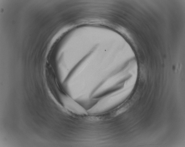 X0000081341424200702020038