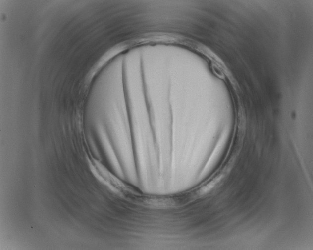 X0000081341433200702020038