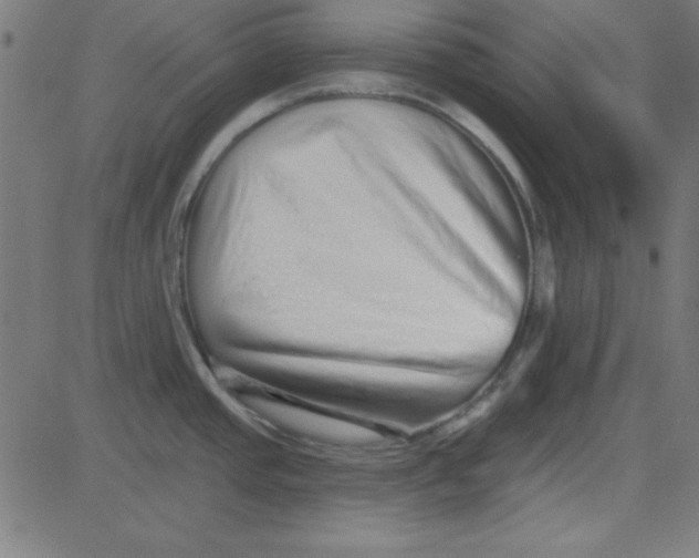 X0000081341437200702020038