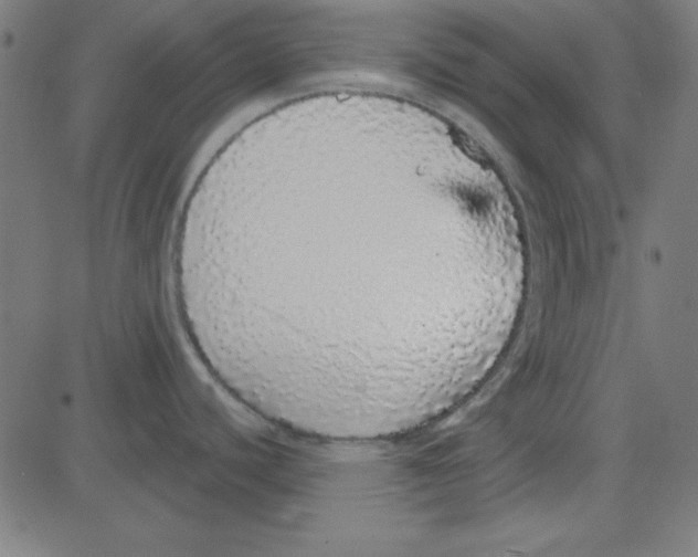 X0000081341440200702020038