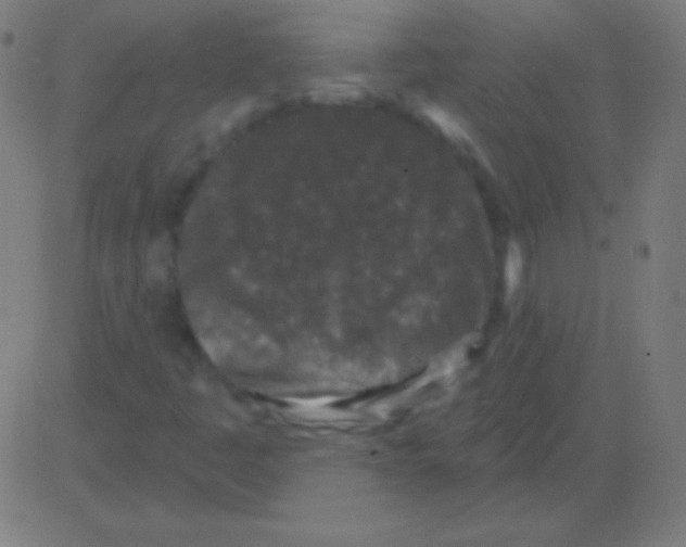 X0000081341445200702020037