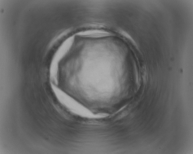 X0000081341448200702020037