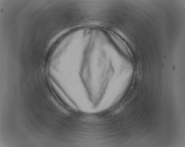 X0000081341452200702020037