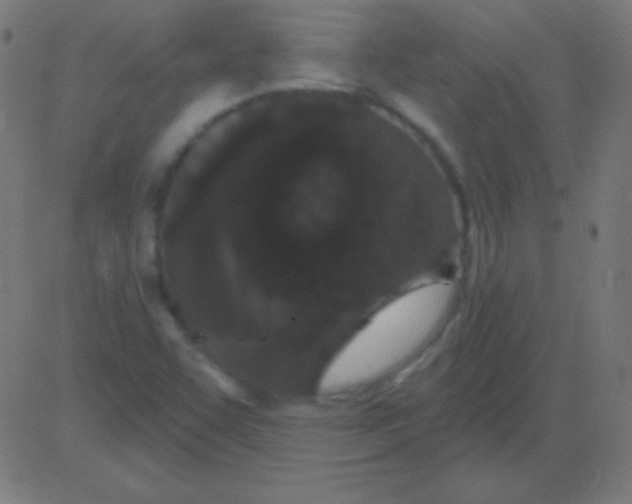 X0000081341455200702020037