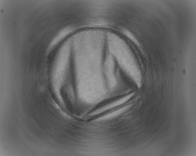 X0000081341456200702020037