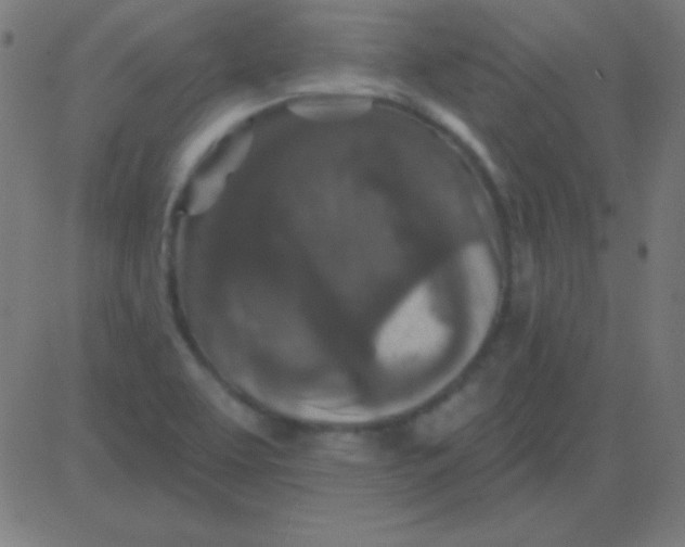 X0000081341463200702020037