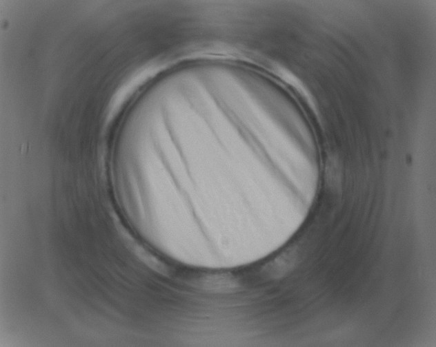 X0000081341464200702020037