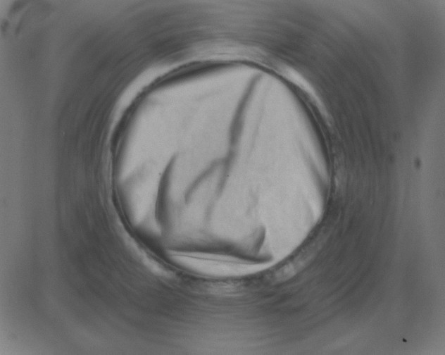 X0000081341472200702020037