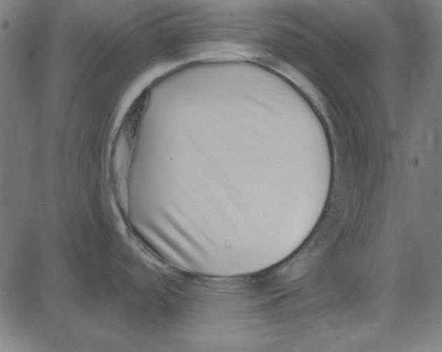 X0000081341488200702020037