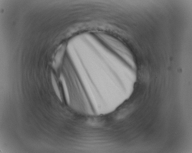 X0000081341490200702020036