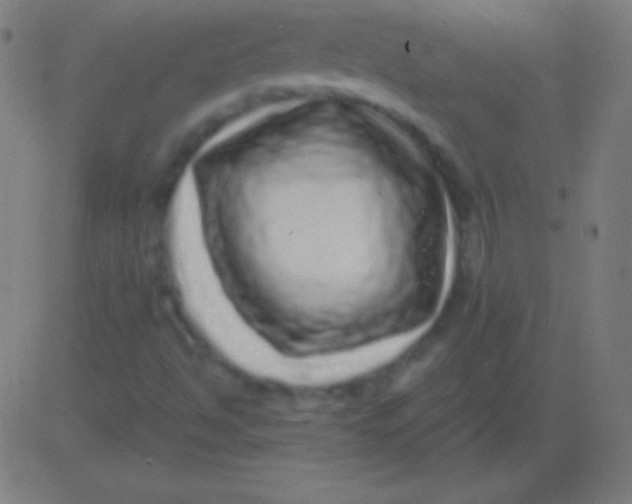 X0000081341494200702020036