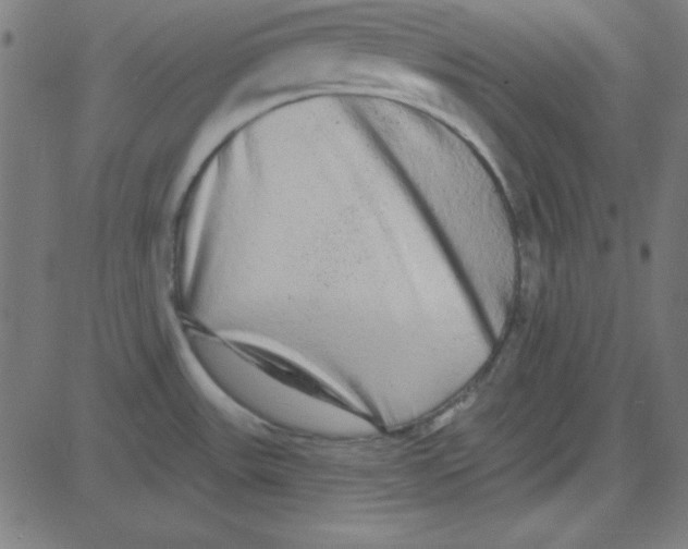 X0000081341531200702020037