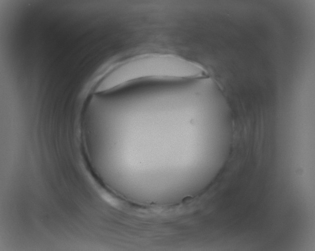 X0000081340005200702082241