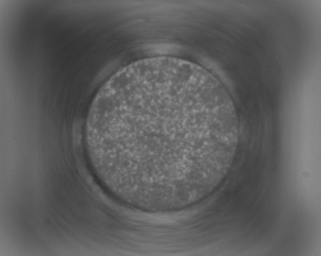 X0000081340010200702082240