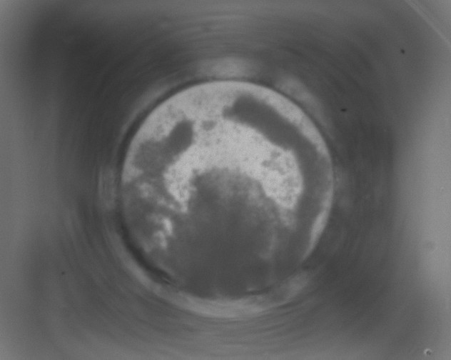 X0000081340012200702082240