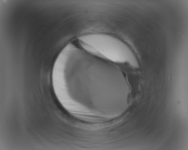 X0000081340019200702082240