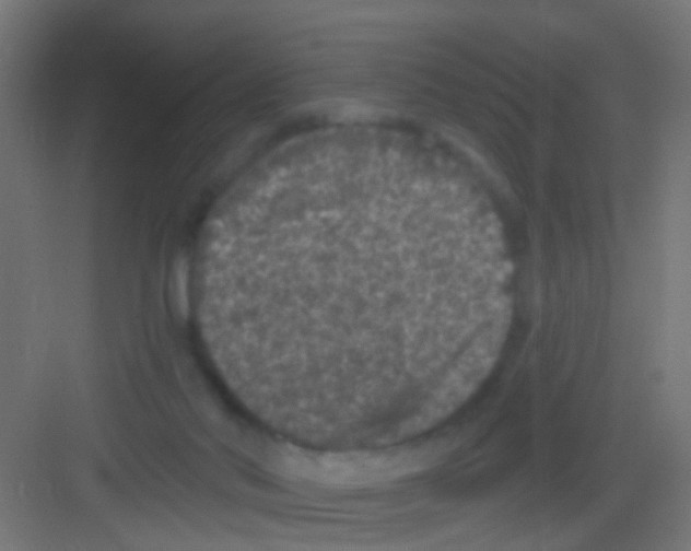 X0000081340022200702082240
