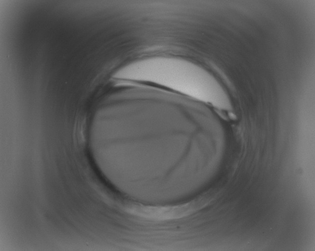 X0000081340023200702082240