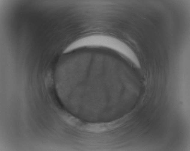 X0000081340029200702082240