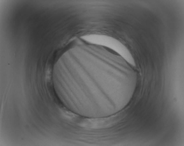 X0000081340033200702082240