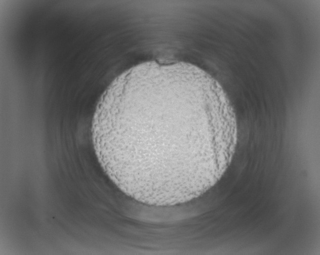 X0000081340034200702082240