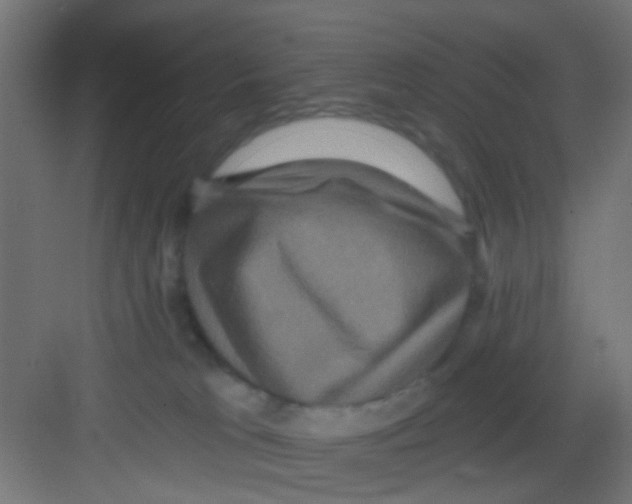 X0000081340037200702082240