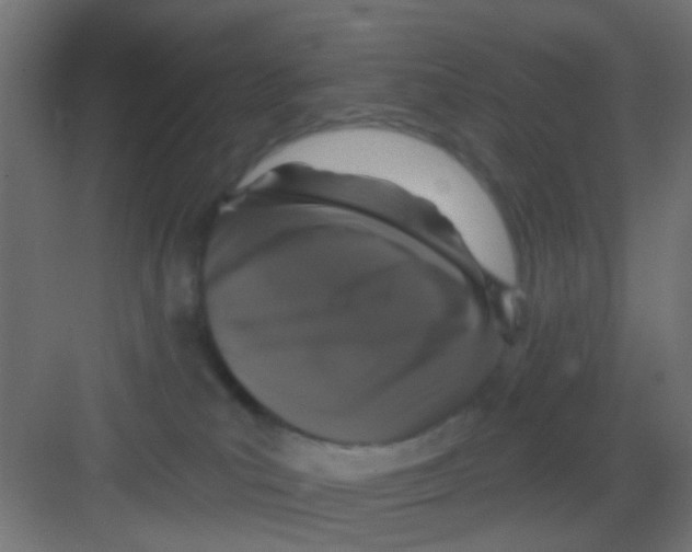 X0000081340039200702082240