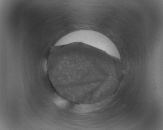 X0000081340041200702082240