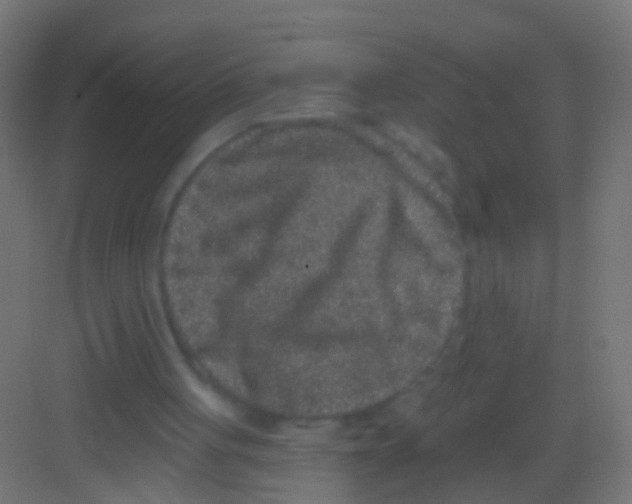X0000081340051200702082239