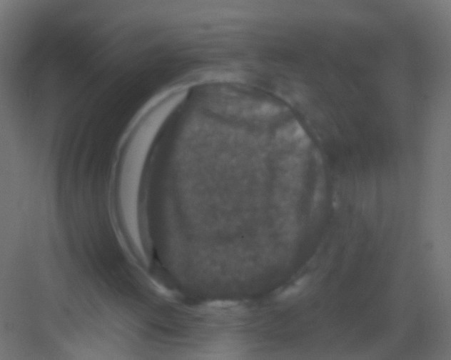 X0000081340052200702082239