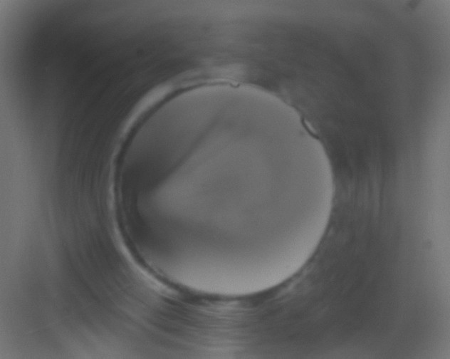 X0000081340054200702082239