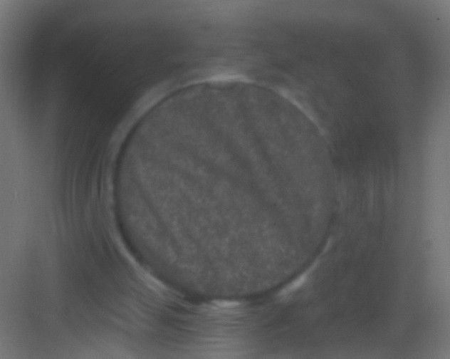 X0000081340055200702082239