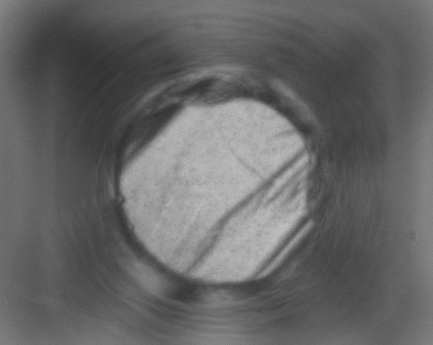 X0000081340062200702082239