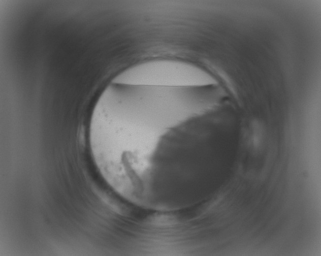 X0000081340067200702082239