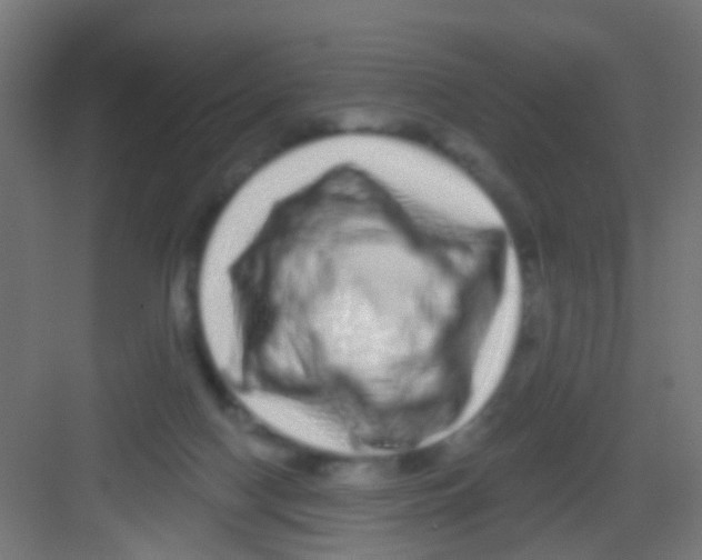 X0000081340074200702082239