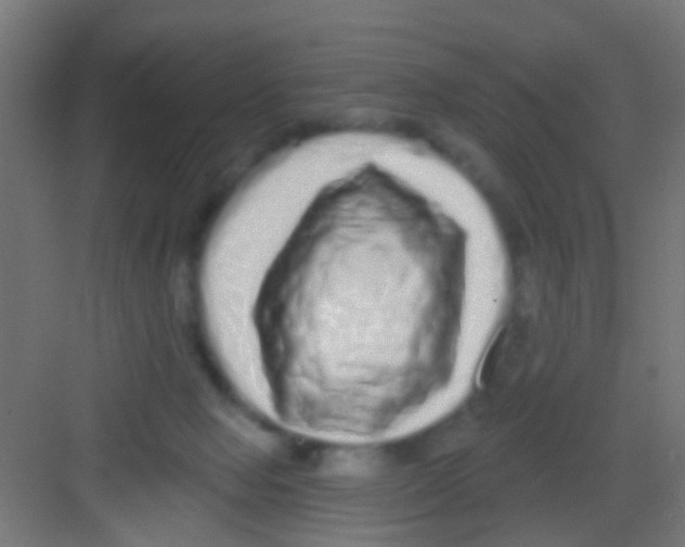 X0000081340077200702082239