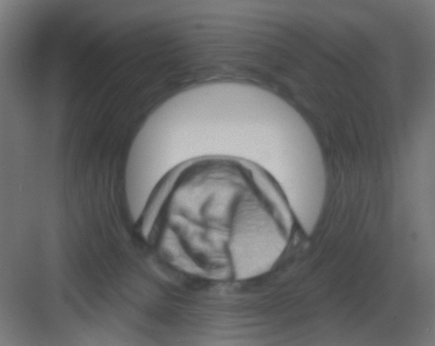 X0000081340080200702082239