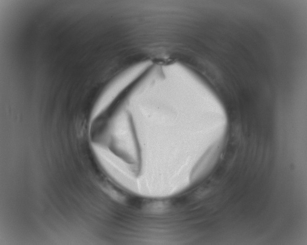 X0000081340081200702082240