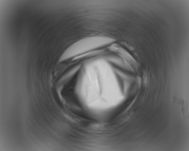 X0000081340084200702082240