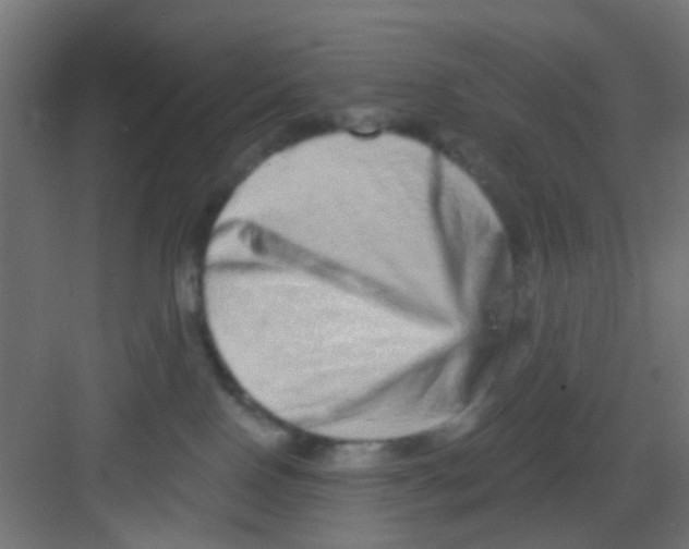 X0000081340090200702082240