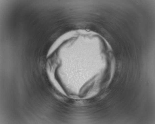 X0000081340091200702082240