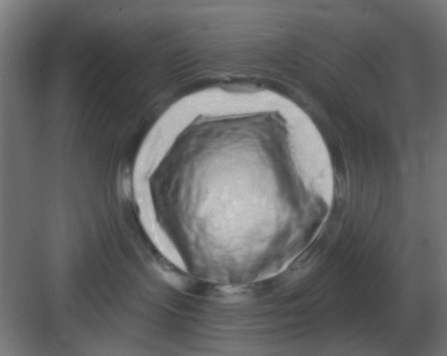 X0000081340095200702082240