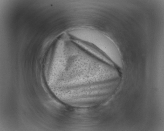 X0000081340097200702082239