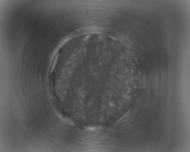 X0000081340099200702082239