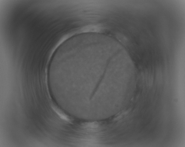 X0000081340100200702082239