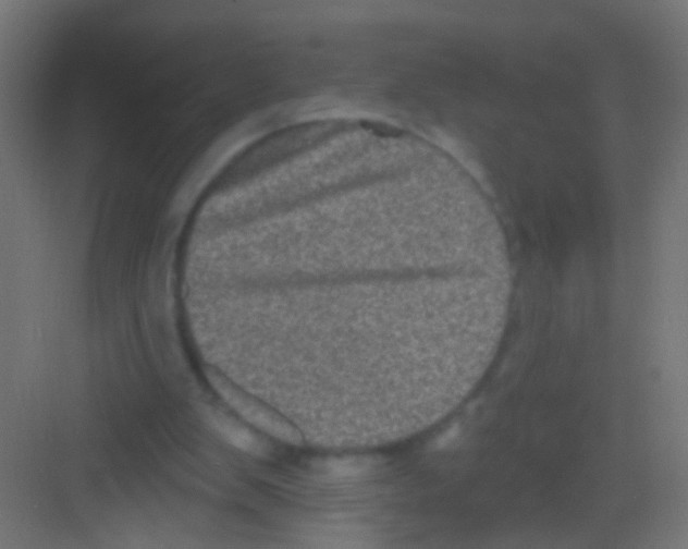 X0000081340103200702082239