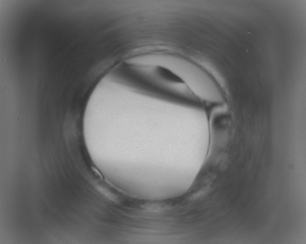 X0000081340105200702082239