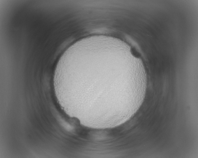 X0000081340106200702082239